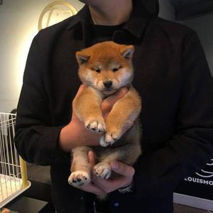 熟女玩小男生的小嫩茎视频
